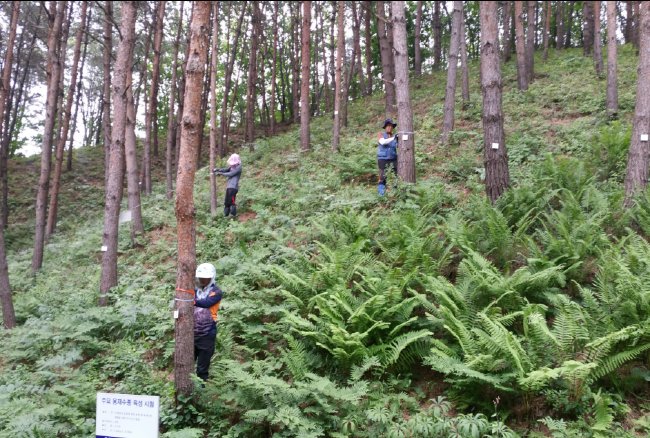 산림연구도 더 스마트하게, 3D 수목 관리 시대 열린다 기사 이미지